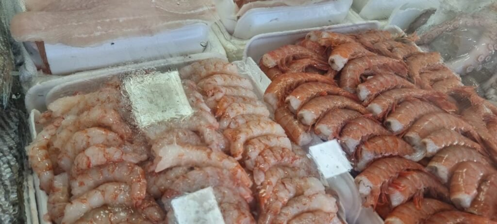 Produção de camarão cresce no interior impulsionada por novas tecnologias