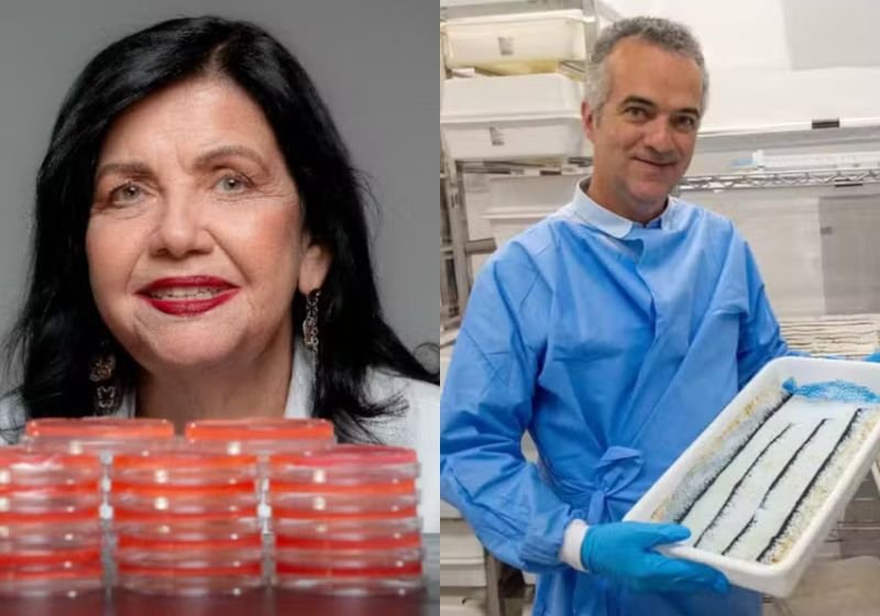 2 cientistas brasileiros estão entre os 100 mais influentes do mundo; lista da Time