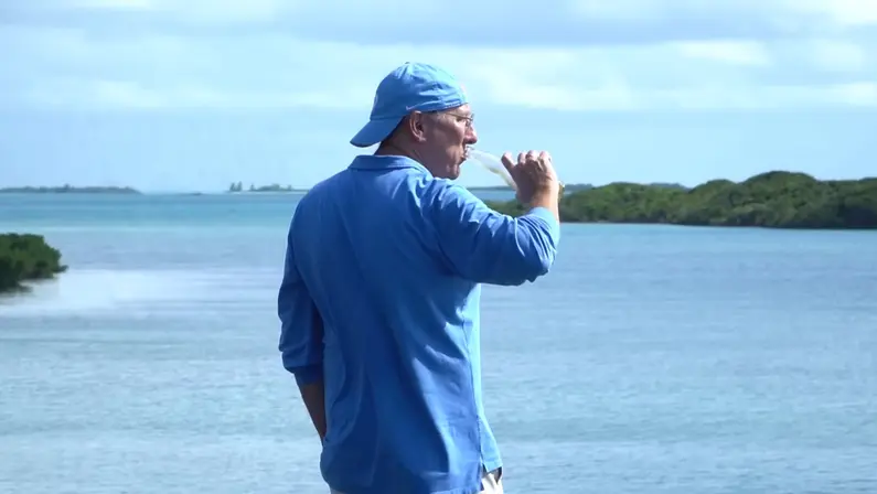 Canal: John Textor vendeu terreno em ilha e oferece aportar mais US$ 25 milhões no Botafogo; social prefere GDA sem ele