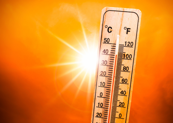 11 cidades brasileiras estão entre as mais ameaçadas do mundo por calor extremo, aponta Oxford