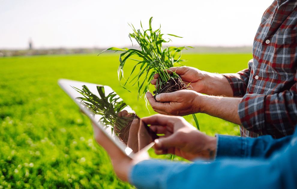 Agtechs ganham força e ajudam a modernizar o agronegócio potiguar