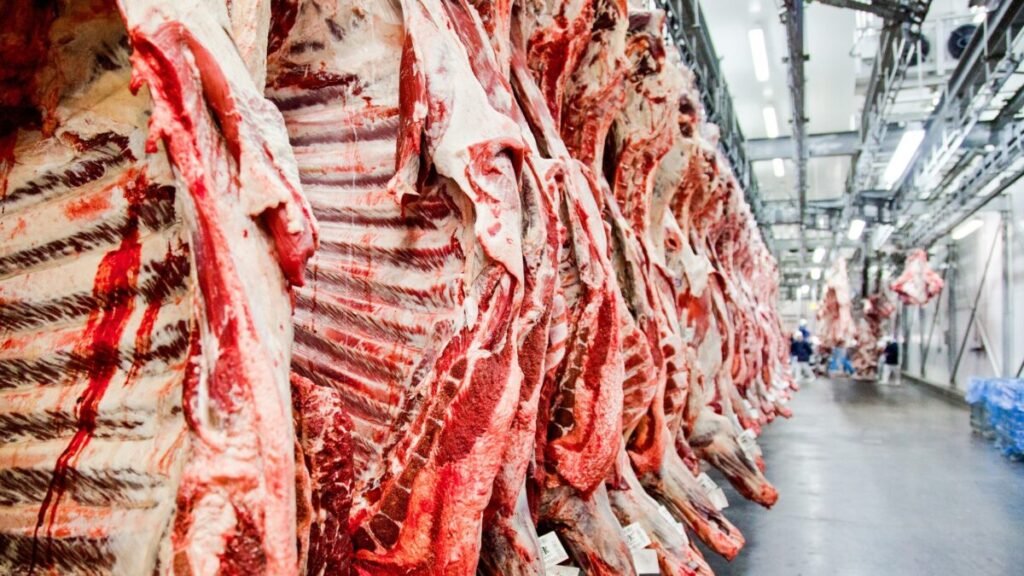 Tarifa de 67% trava exportações de carne para a China