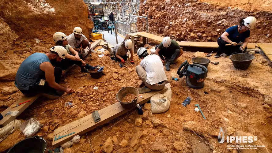 Ancestrais humanos comiam adultos e crianças há 850 mil anos, revelam fósseis de caverna