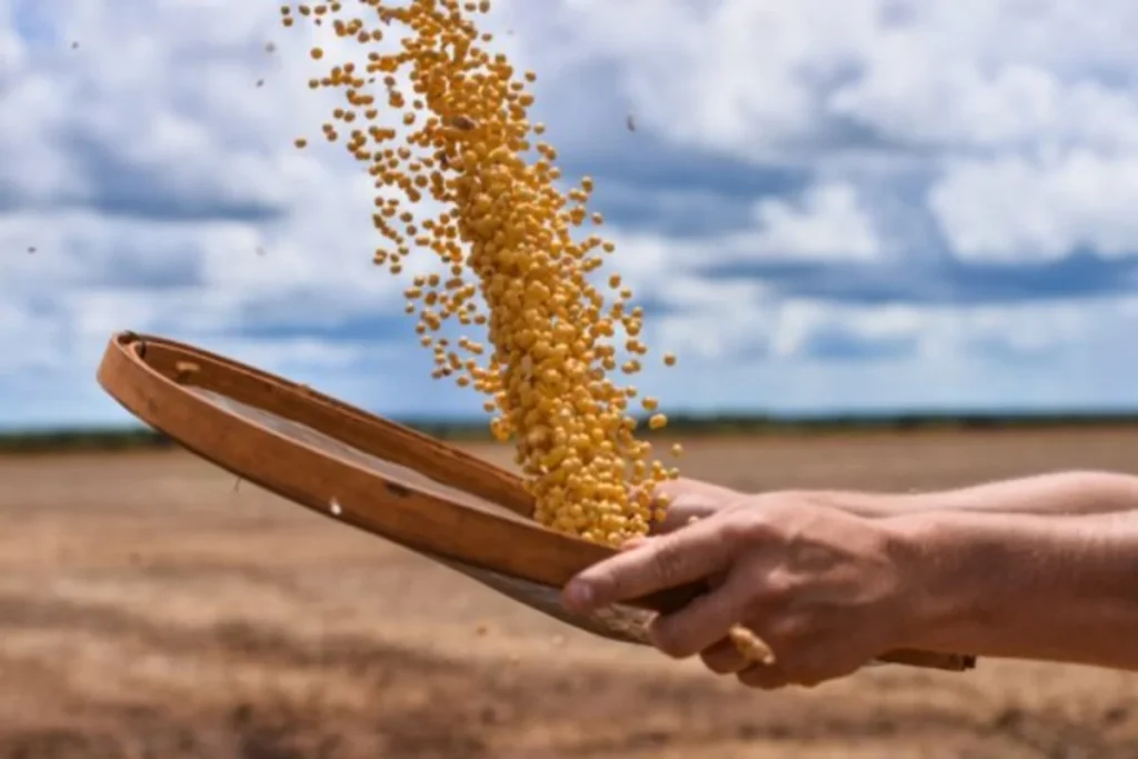 Tarifaço pode atingir 36,5% das exportações agrícolas aos EUA, diz CNA
