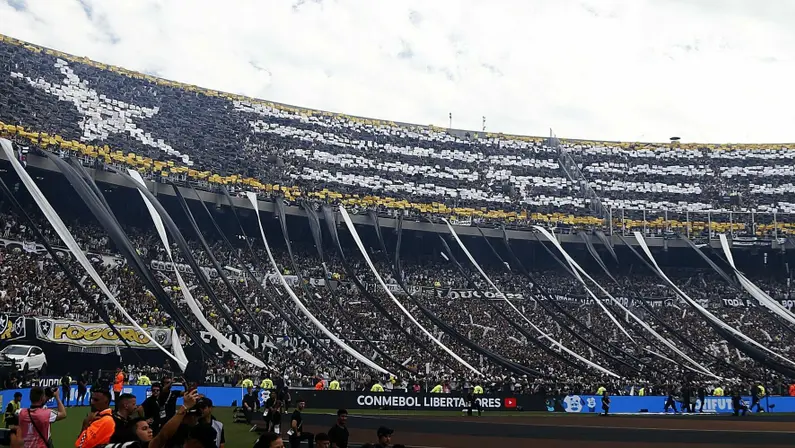 Nova pesquisa põe torcida do Botafogo em 12º lugar no Brasil