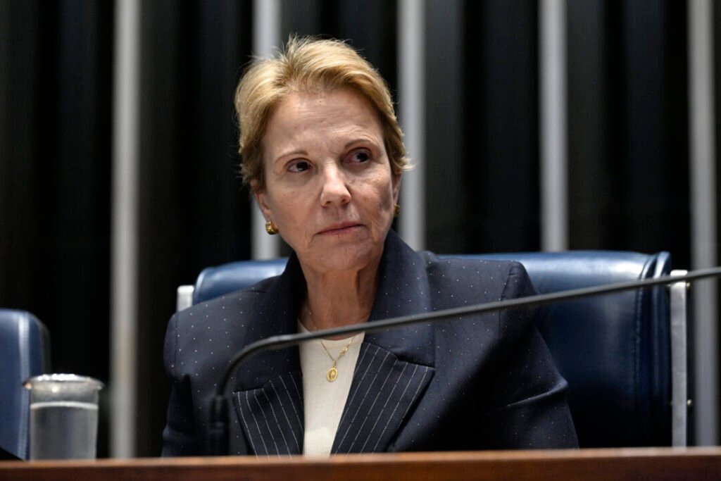 Estarei na campanha de Flávio “de uma maneira ou de outra”, diz Tereza Cristina