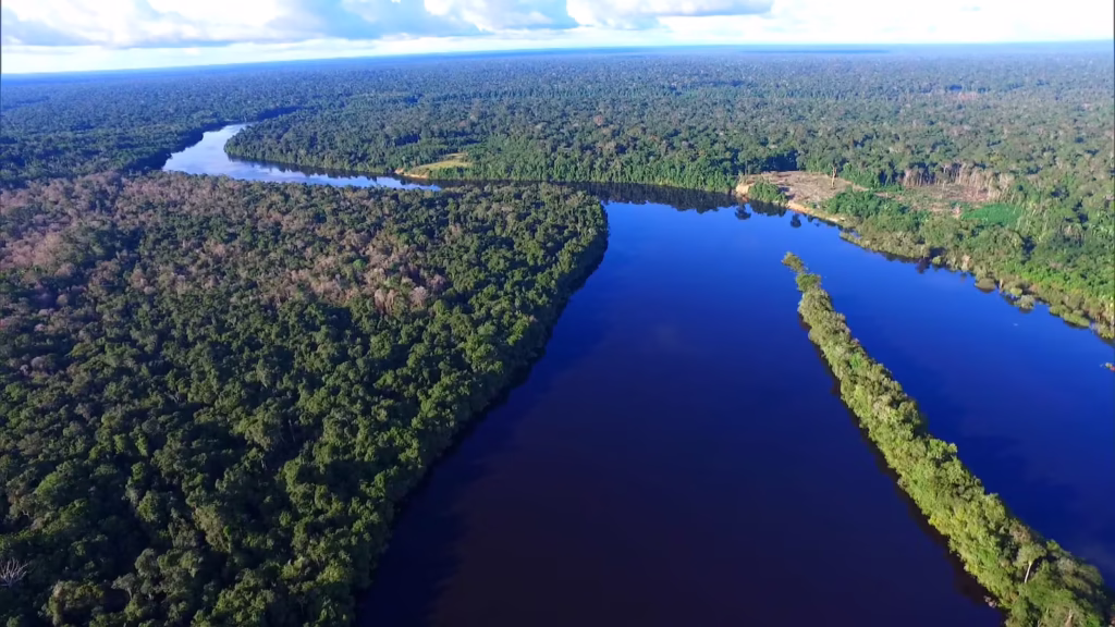 Amazônia pode ter abrigado civilização de até 3 milhões de pessoas, aponta estudo