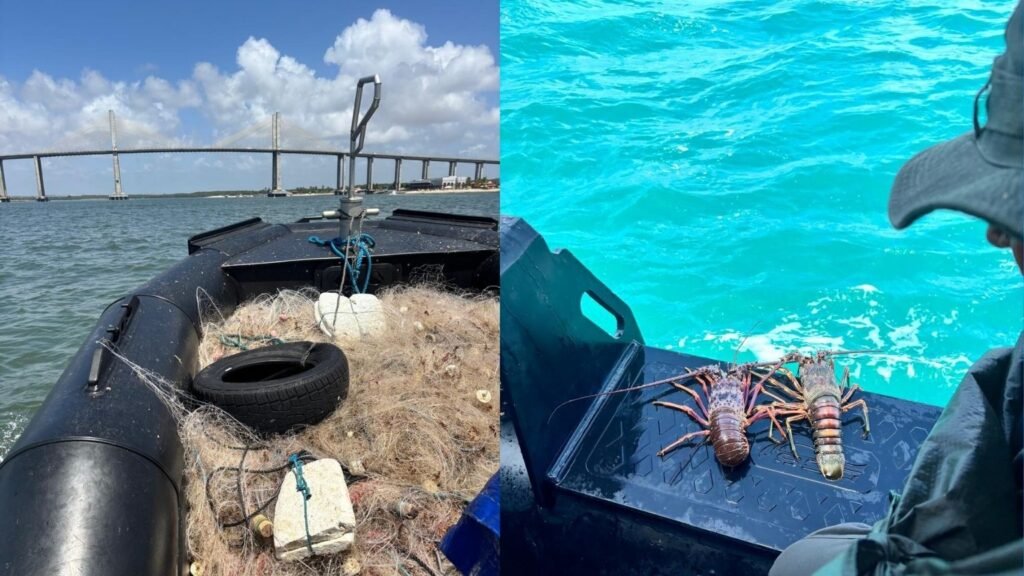 Operação do Ibama apreende 4 mil metros de redes usadas na pesca ilegal de lagosta no RN