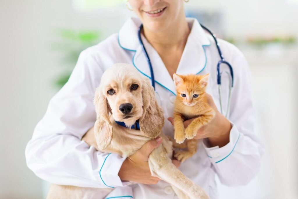 Receita para animal não é para qualquer profissional: exercício ilegal da Medicina Veterinária agora é crime