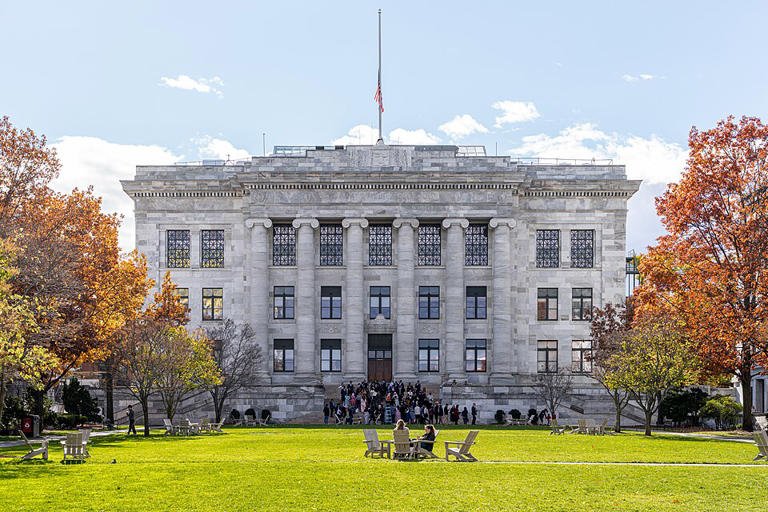As cinco práticas comuns dos alunos mais inteligentes, segundo os professores de Harvard