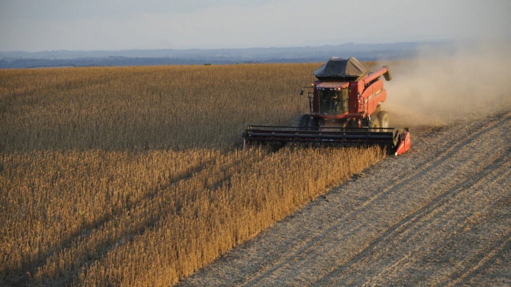 Agronegócio brasileiro alcança R$ 1,44 trilhão em valor bruto de produção, com soja e pecuária em destaque